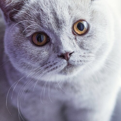 Visit prentdyf's profile on GETTR. View their posts, photos, videos, and connect with them on the social platform.