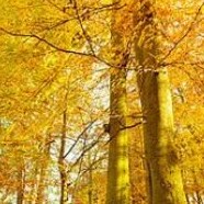 Visit neildunn's profile on GETTR. View their posts, photos, videos, and connect with them on the social platform.