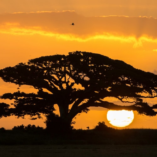 Visit Quest for Justice - banned website's profile on GETTR. View their posts, photos, videos, and connect with them on the social platform.