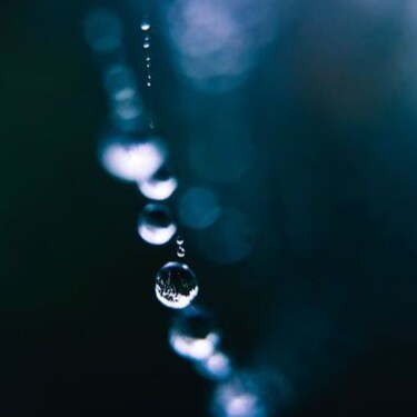 Visit 曹千千's profile on GETTR. View their posts, photos, videos, and connect with them on the social platform.