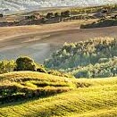 Visit NatalieTyler's profile on GETTR. View their posts, photos, videos, and connect with them on the social platform.