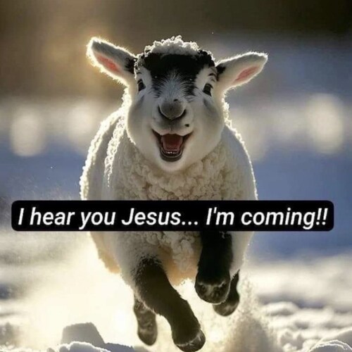 I am an Evangelist for the Gospel of Jesus Christ. I am non-Denomination. I believe in Christ death and Resurrection. KJ...