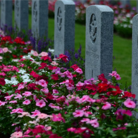 Visit perfectcremationsnv's profile on GETTR. View their posts, photos, videos, and connect with them on the social platform.