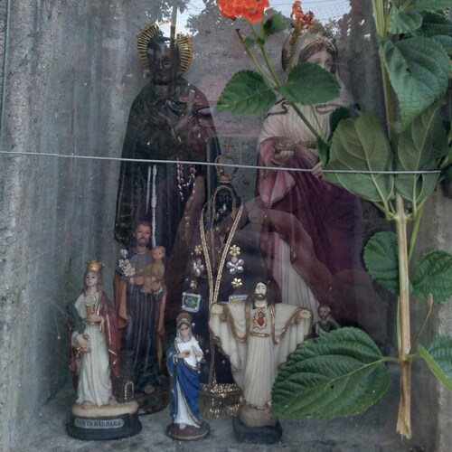 Visit Carvalho's profile on GETTR. View their posts, photos, videos, and connect with them on the social platform.