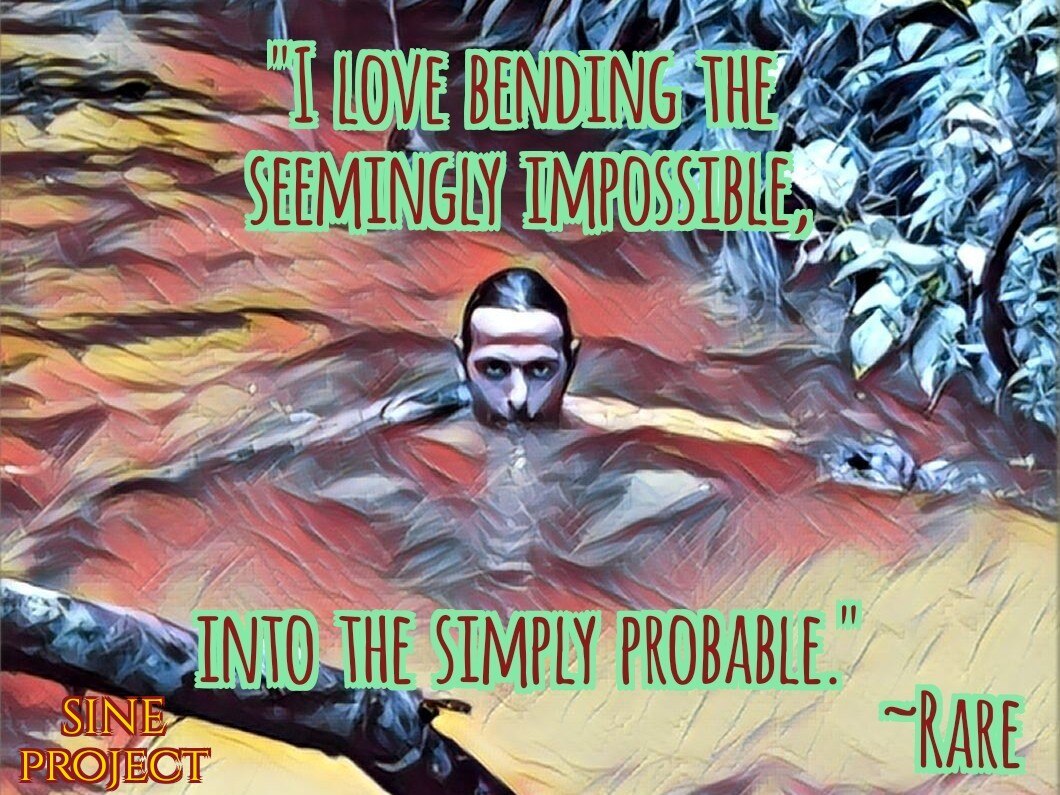 SINE project 3 part 2 cover