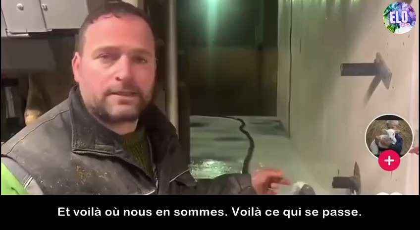 🇨🇦 The War on Farmers❗️❗️

This Canadian dairy farmer has reached his quota, so the government is ...