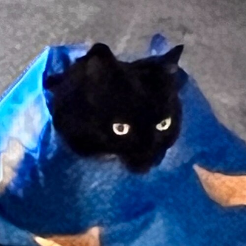 MAGA❤️Patriot❤️FJB