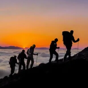 Visit 塞伦盖蒂N.0's profile on GETTR. View their posts, photos, videos, and connect with them on the social platform.