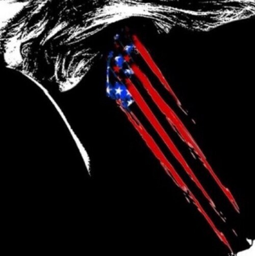 I❤️🤍💙 my Republic  NCSWIC~  T45-47✨💎 #TRUTH #GODWINS  Make America Greater VOTED