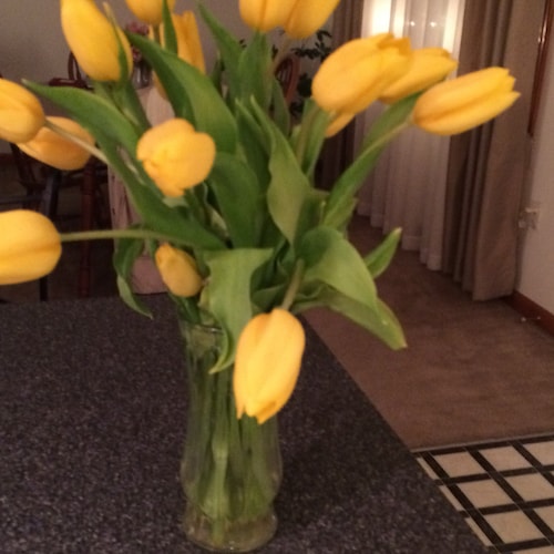 Visit geregirl's profile on GETTR. View their posts, photos, videos, and connect with them on the social platform.