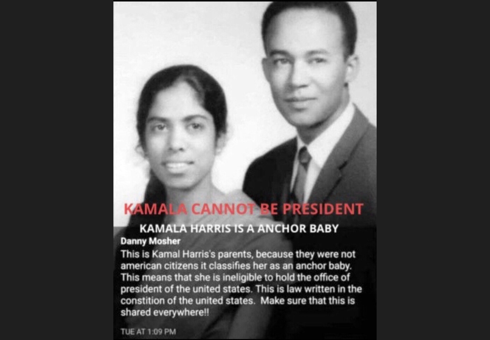 As an anchor baby, Kamala Harris is Constitutionally Ineligible to be POTUS and is a National Securi...