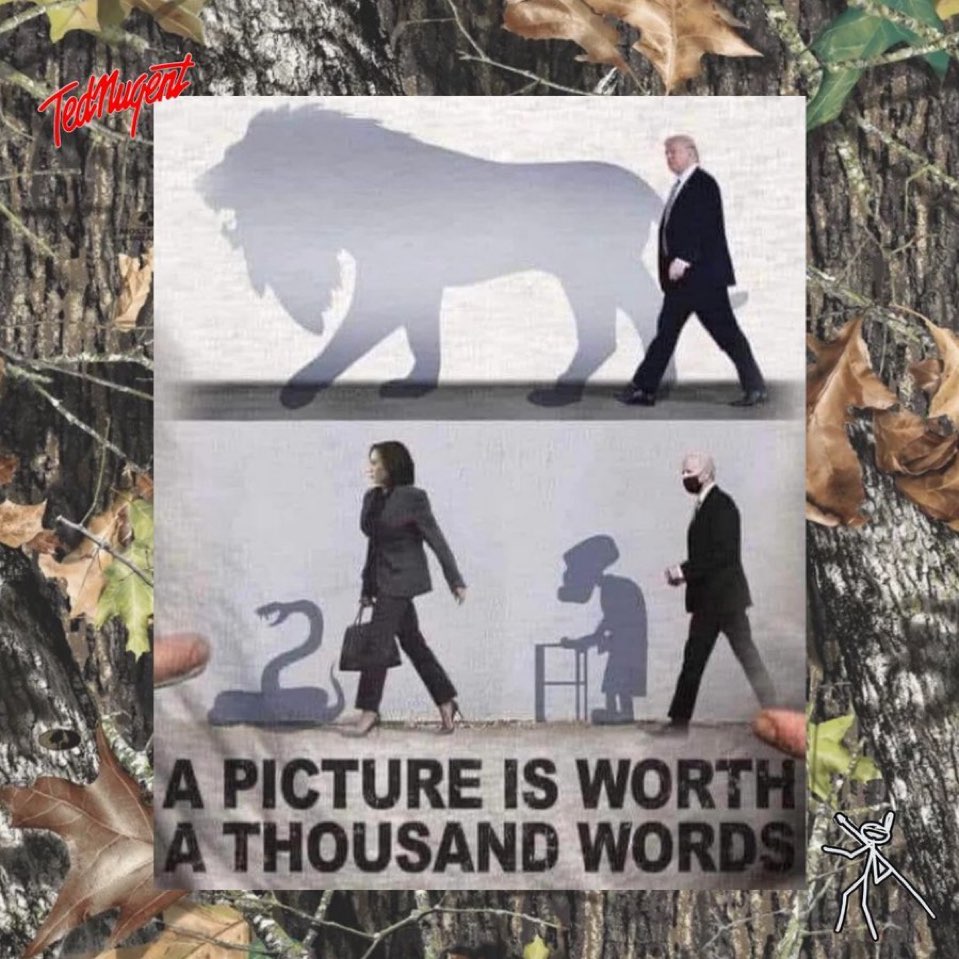 Lions not sheep, snakes or the old man from family guy! MAGA 2024