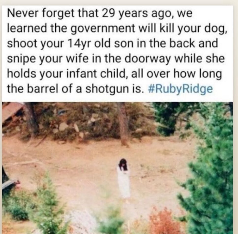 View SteveA's post on GETTR. Join the discussion, share your thoughts, and connect with the community.