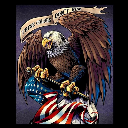 God, Family, Country, Constitutional Conservative, Patriot, Pro Life, 2nd Amendment, NRA Member, PB