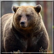 Visit Bilouty's profile on GETTR. View their posts, photos, videos, and connect with them on the social platform.