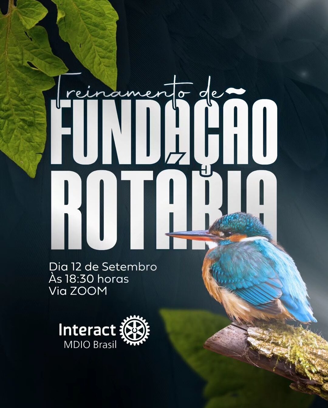 Texto do Mdiointeractbr:

VEM AÍ, TREINAMENTO DE FUNDAÇÃO ROTÁRIA!

Capacite-se para transformar com...