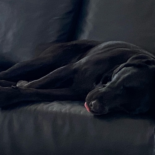 Von klein auf selbstbestimmt + das wird sich nicht ändern! Von Typen wie Habeck, Baerbock, Scholz und co. angewidert 🤮W...