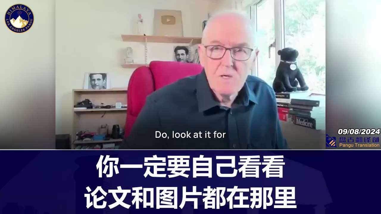 John Campbell gave his take on a paper published in the International Journal of Vaccine Theory Prac...