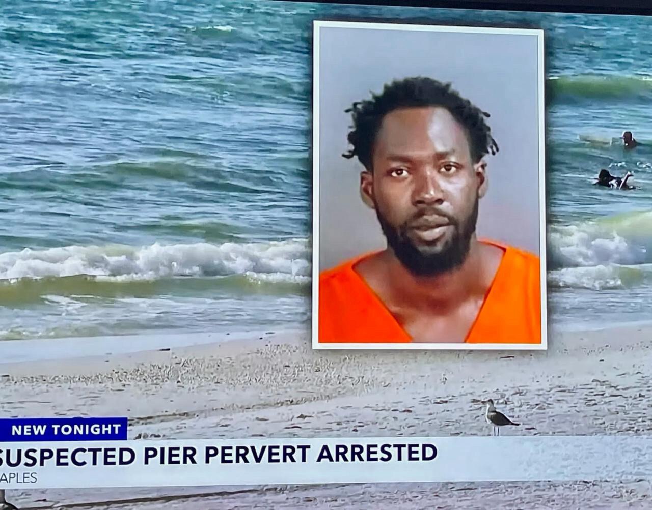 It’s not just Springfield. In Naples, Florida, police have arrested Johnley Saint Juste for publicly masturbating at the city pier in front of ten people, including children.

The Democrat platform is to surrender all of America’s towns and public spaces to criminals, looters, and perverts. If your city isn’t like this already, it will be soon — unless we stop it.