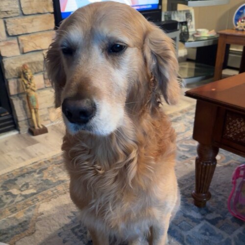 Visit Cooper005's profile on GETTR. View their posts, photos, videos, and connect with them on the social platform.