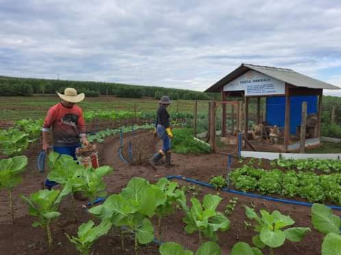 Texto do Rotary Brasil:

No Rotary, estamos comprometidos a apoiar ações que reforcem a conservação ...