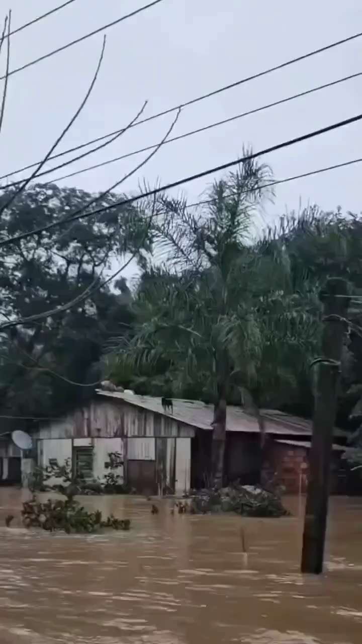 After all, these are family members who have been abandoned. It’s shouldn’t happen.😔
Thanks to the ...