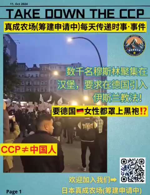 数千名穆斯林聚集在汉堡，要求在德国引入伊斯兰教法！
#中国人≠中国共产党
#消灭中国共产党
#日本真成农场（筹备申请中）