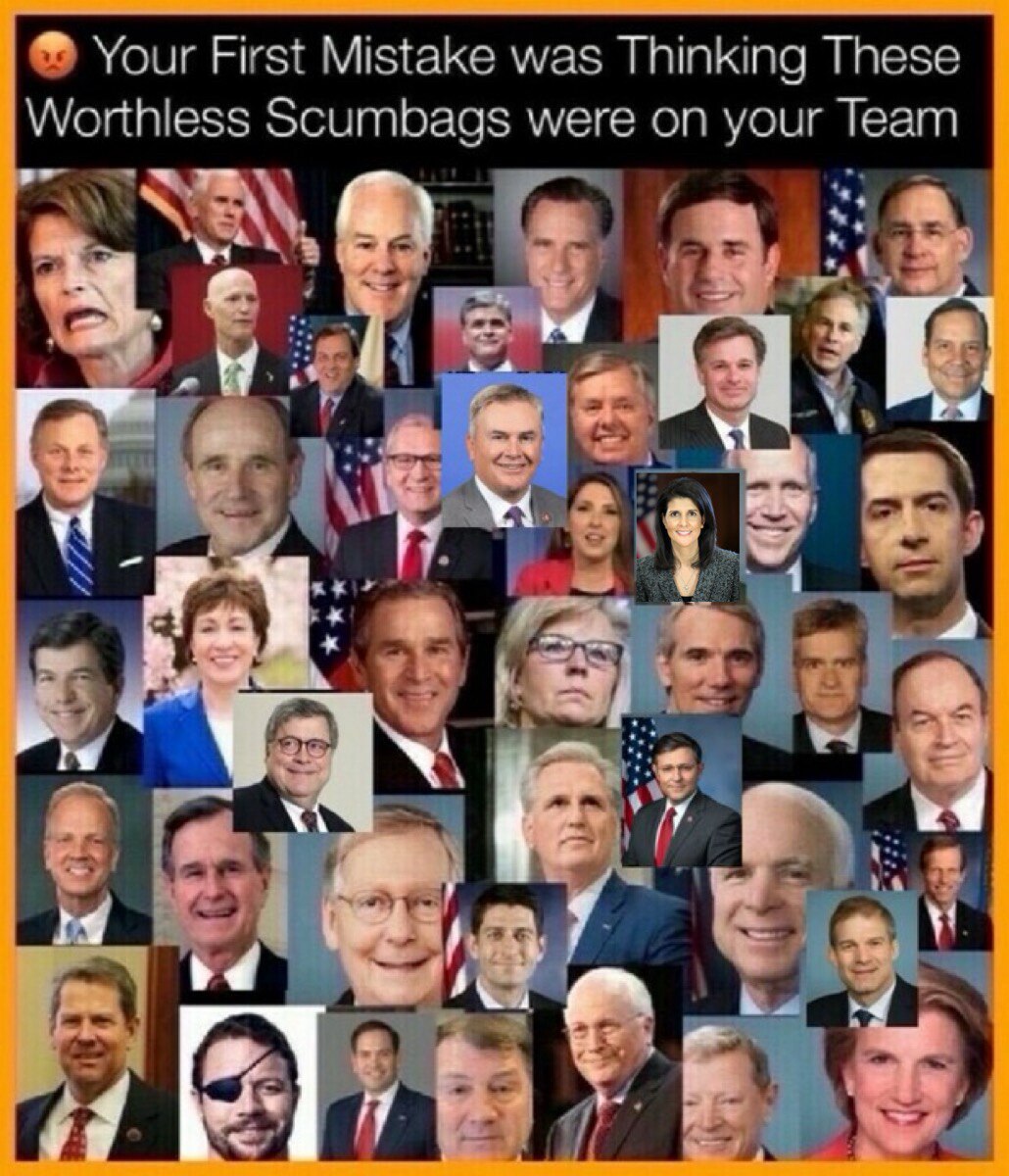 Dear @realDonaldTrump it has come to my attention that backstabbing RINO and war mongering Neocon Ni...