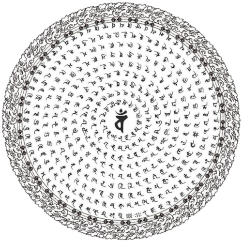 We Are the Citizens of the New Federal State of China Our Mission is to Take Down the EVIL Chinese Communist Party