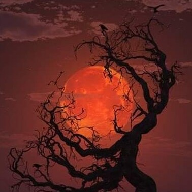 Visit 农民's profile on GETTR. View their posts, photos, videos, and connect with them on the social platform.