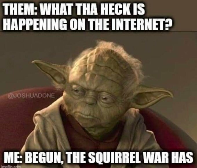 b2d458b4afe45069da01f1ab2f48edbb.jpg