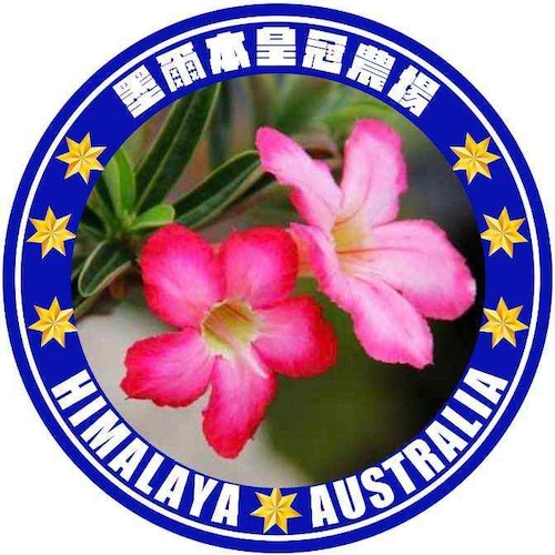 Visit Bailan  《皇冠骑士团》's profile on GETTR. View their posts, photos, videos, and connect with them on the social platform.