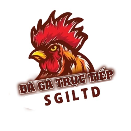 Xem đá gà Campuchia Thomo hôm nay, trận đấu cựa sắt hấp dẫn, link xem tốc độ cao, trực tiếp chất lượng HD chuẩn.
Websit...