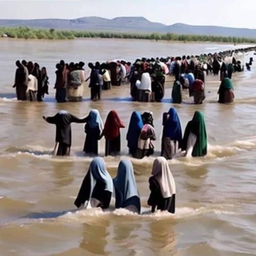 Reagan conservative “raising a banner of no pale pastels, but bold colours.”  #MAGA  #DeSantis2024  #FJB