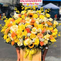 Hoa khai trương Phú Yên không chỉ là một món quà thông thường mà còn là biểu tượng tuyệt vời để gửi lời chúc mừng chân ...