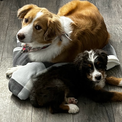 Mother who Loves Jesus and MAGA. It is time we take our country back.