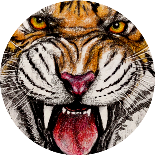 DEMOCRATS ARE DOMESTIC TERRORISTS