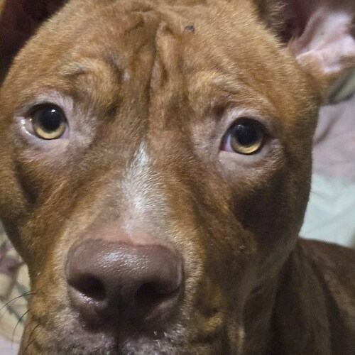 For ENTERTAINMENT  PURPOSES  ONLY 🎯💯