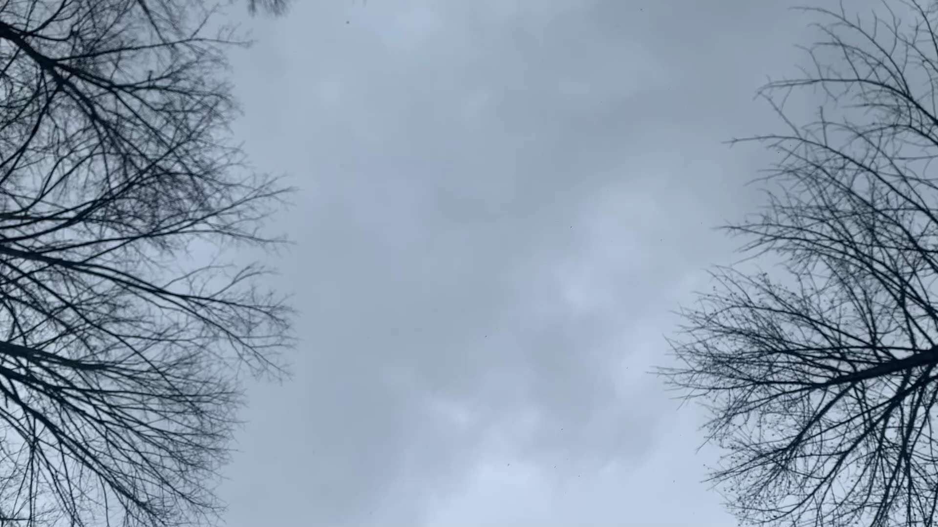 From East Tennessee yeeeehaaaa