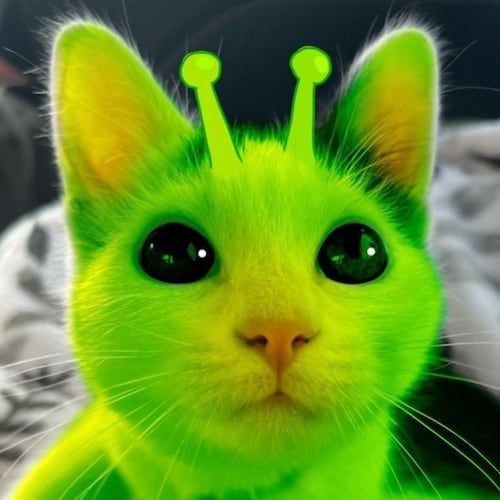 Banned at 2.5 billion followers
not beta read we die like men
ฅ^•ﻌ•^ฅ
🏳️‍🌈👽🏳️‍⚧️