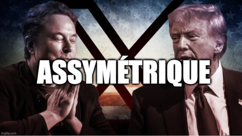 LA GUERRE ASYMÉTRIQUE TRUMP/MUSK