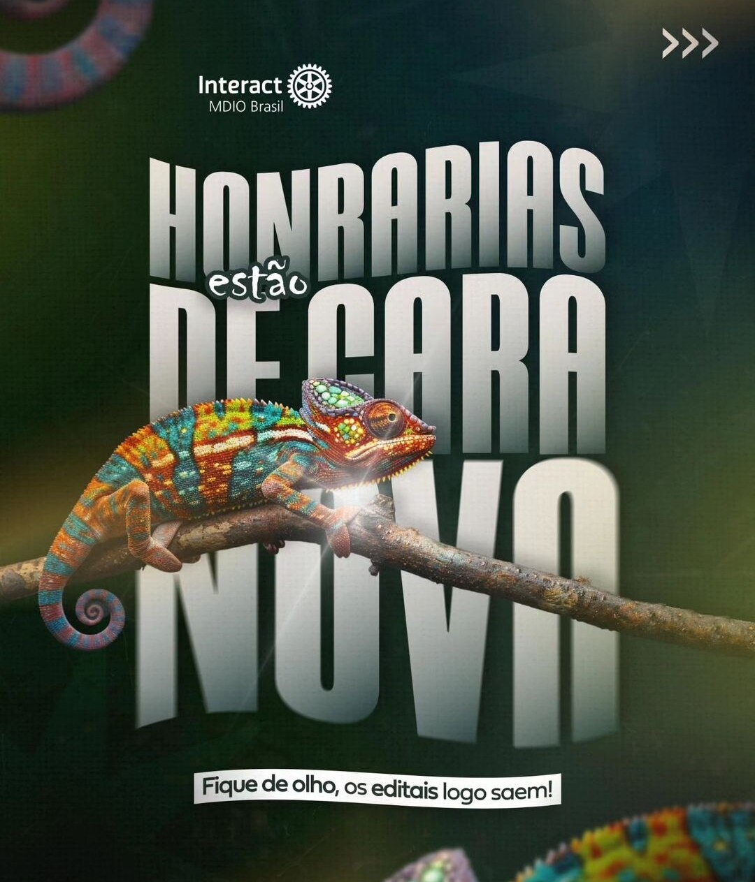 Texto de MDIO Interact Br:

HONRARIAS DE CARA NOVA!

Nossas honrarias atualizaram e agora estão mais...