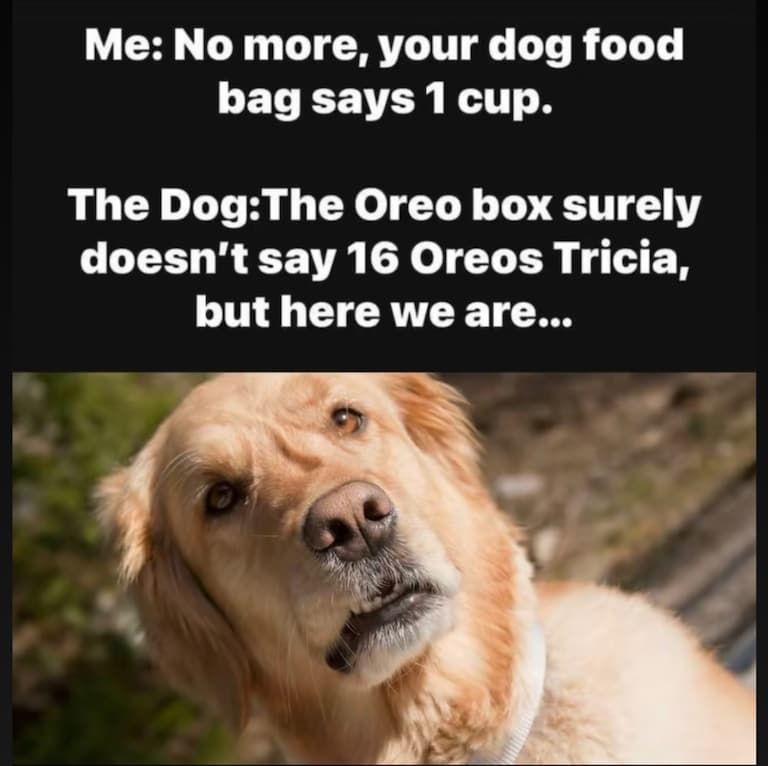 1048d9df420754b2a7ecffbae66bdc44_768x0.png