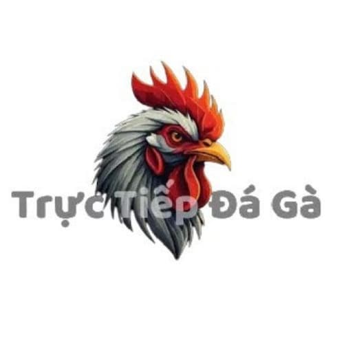 GATRUCTIEP.PRO là website chuyên cung cấp dịch vụ xem trực tiếp các trận đấu đá gà từ nhiều trường đấu nổi tiếng như Tho...