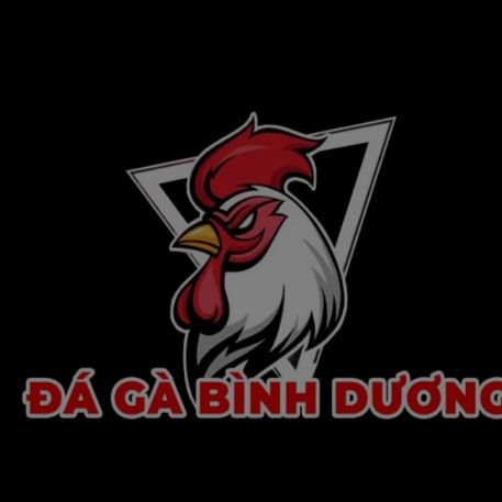 Đá Gà Bình Dương chia sẻ kiến thức sưu tầm từ các kê thủ đẳng cấp Việt Nam, Philippines và Campuchia Thomo Chỉ dẫn cách ...