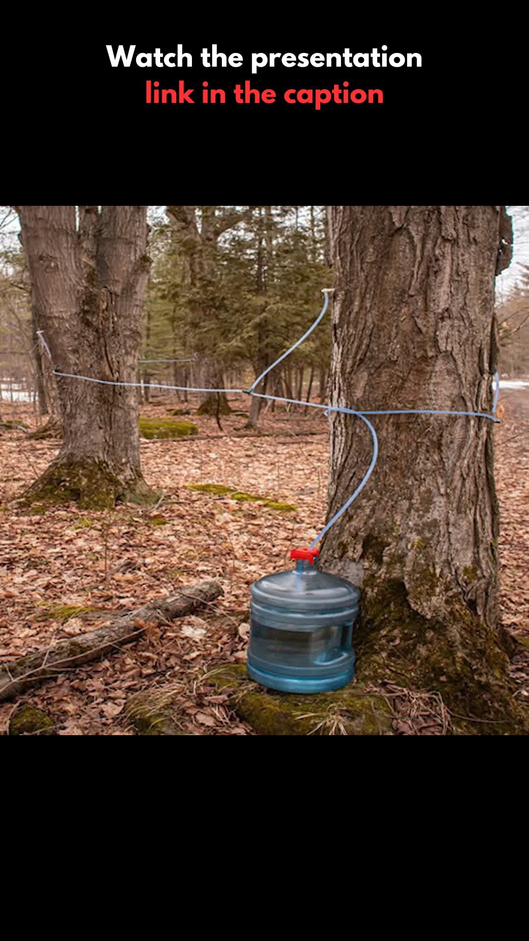 Watch the full presentation: https://webusa.site/create-an-endless-water-supply  #meme #news #gtok #...