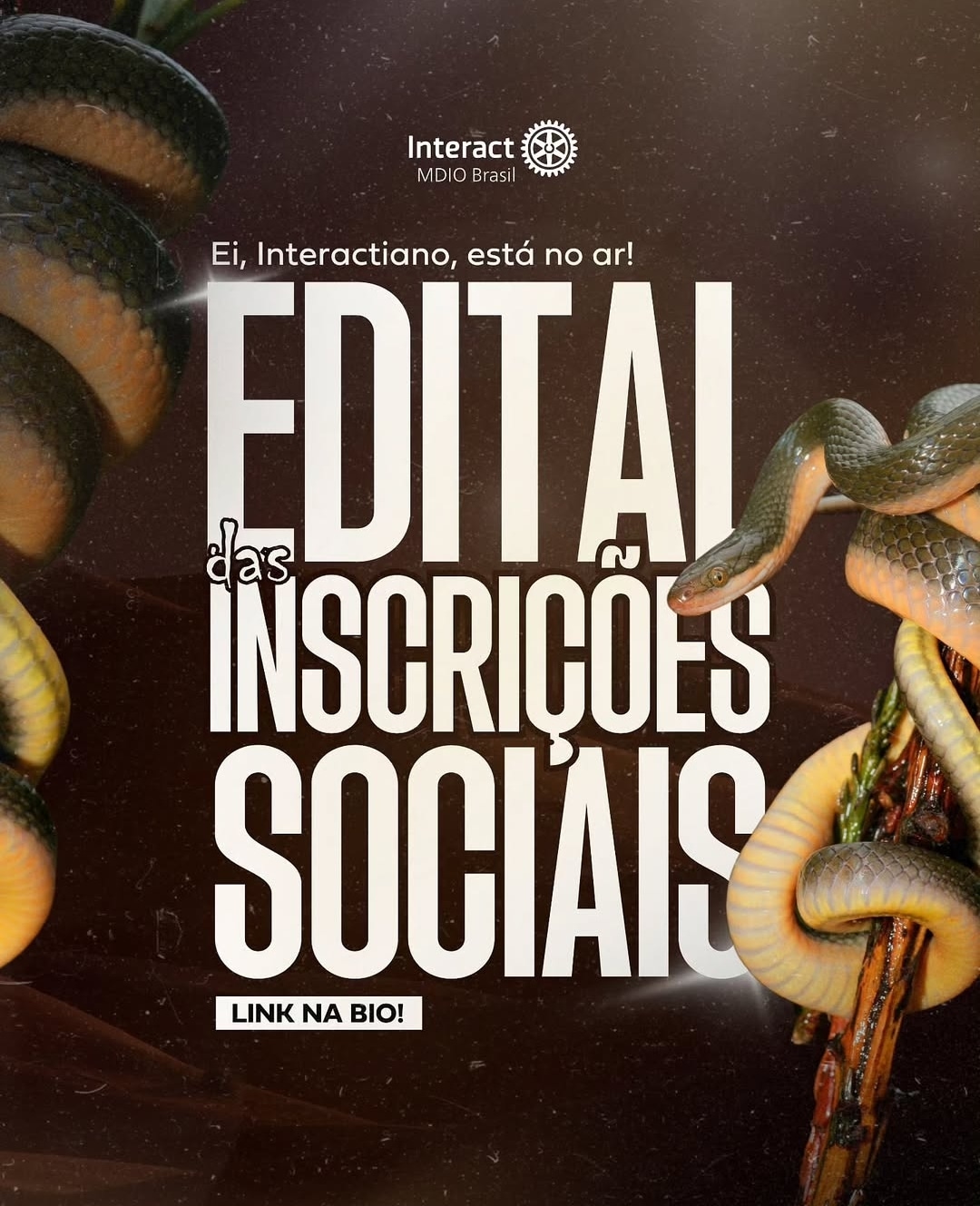 Texto do MDIO Interact BR:

INTERACTIANO, A COMIC TE ESPERA!

A Conferência Multidistrital de Intera...