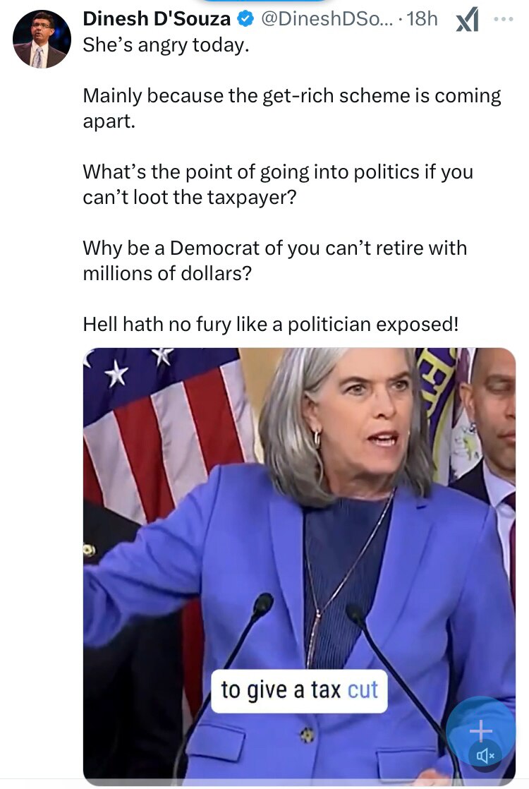 DON’T EVEN KNOW WHO THIS BIG MOUTH IS !
But Her Screaming For DOGE To Stop Means She Should Be On Th...