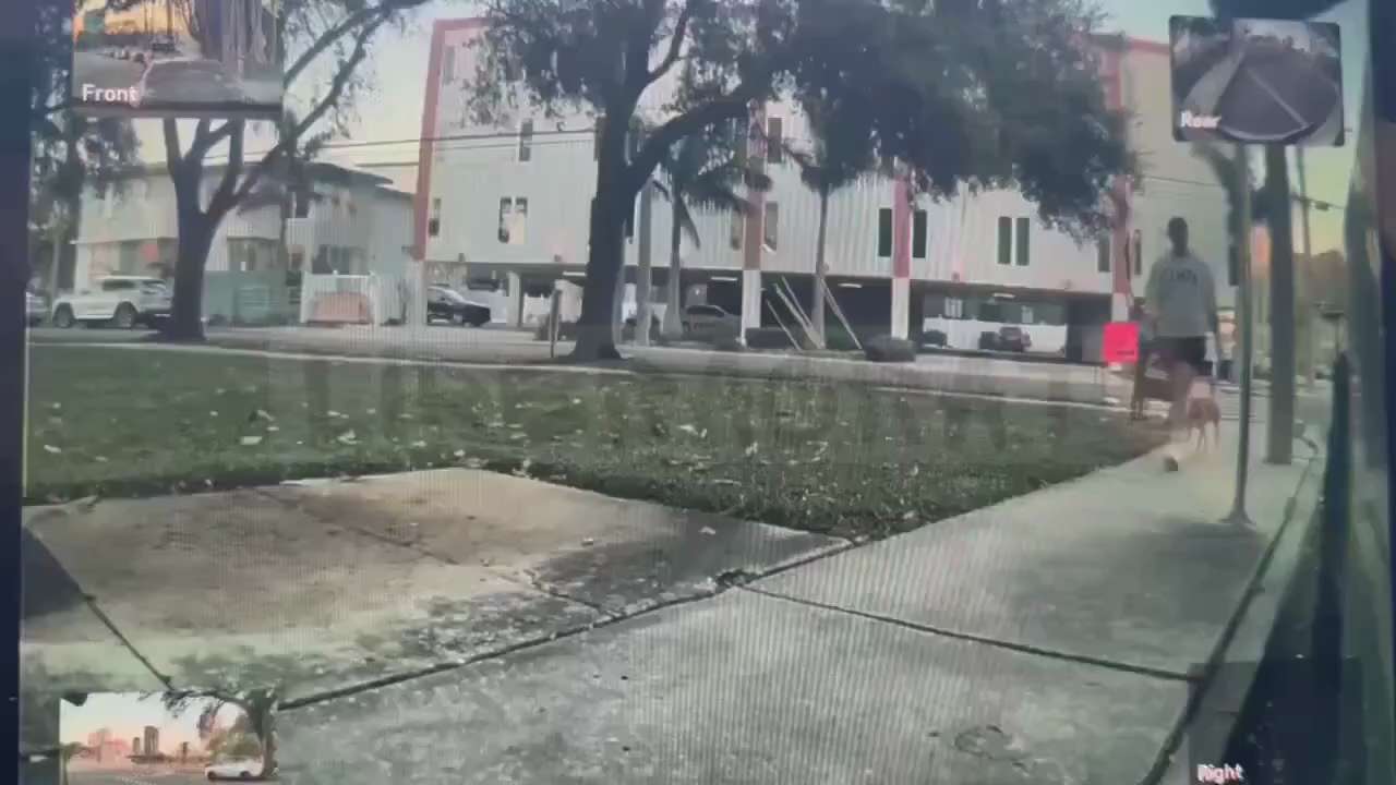 Democrat in Florida throws his dog's poop on a parked Tesla

http://citizenfreepress.com/
