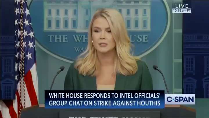 A MIGHTY MOUSE THURSDAY SPECIAL 1
#dtoo #umpg #rogerstrains

Follow all 
Like and repost 
Add your @...